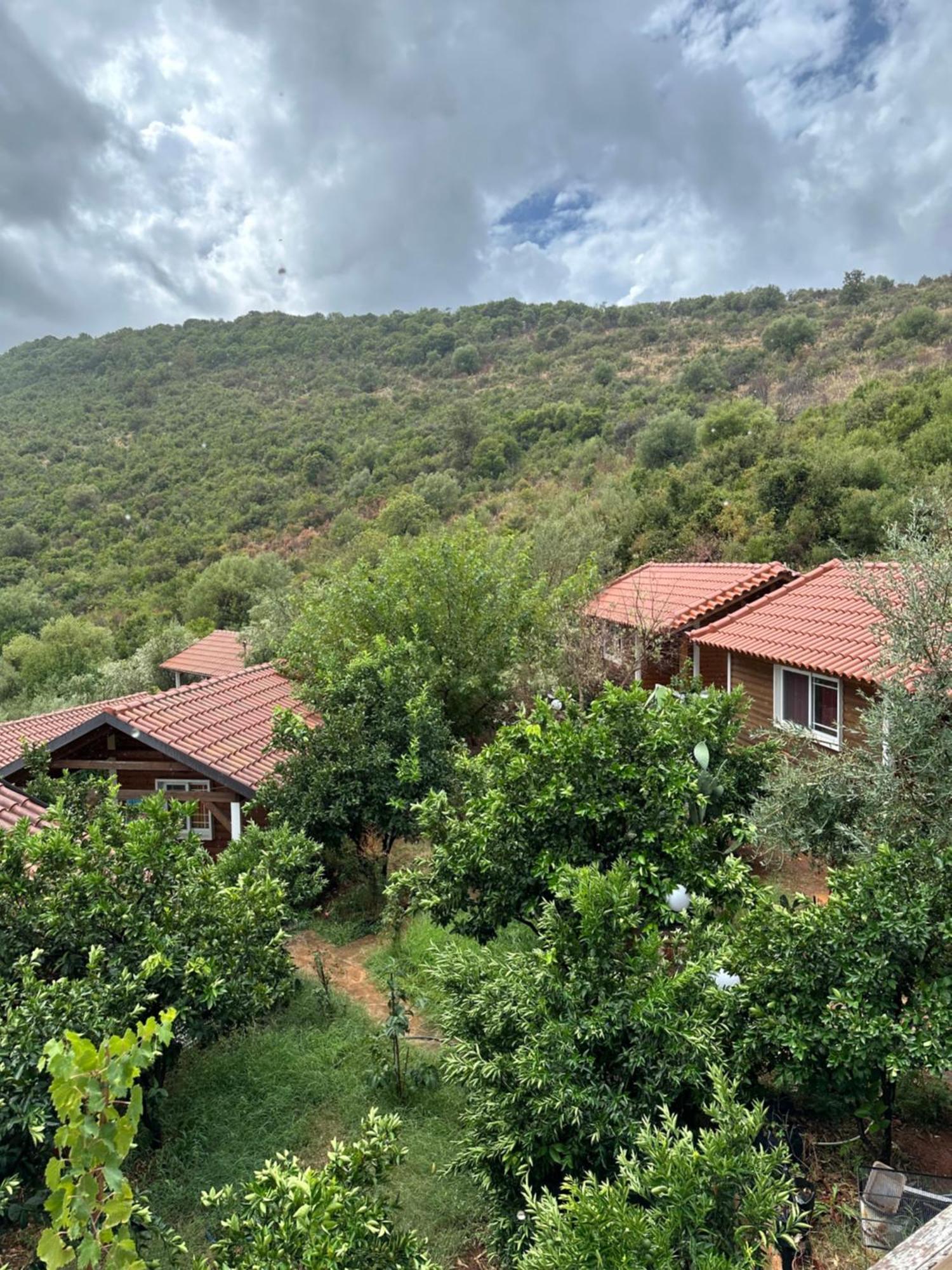 The Mussel House Villa Ксамил Екстериор снимка
