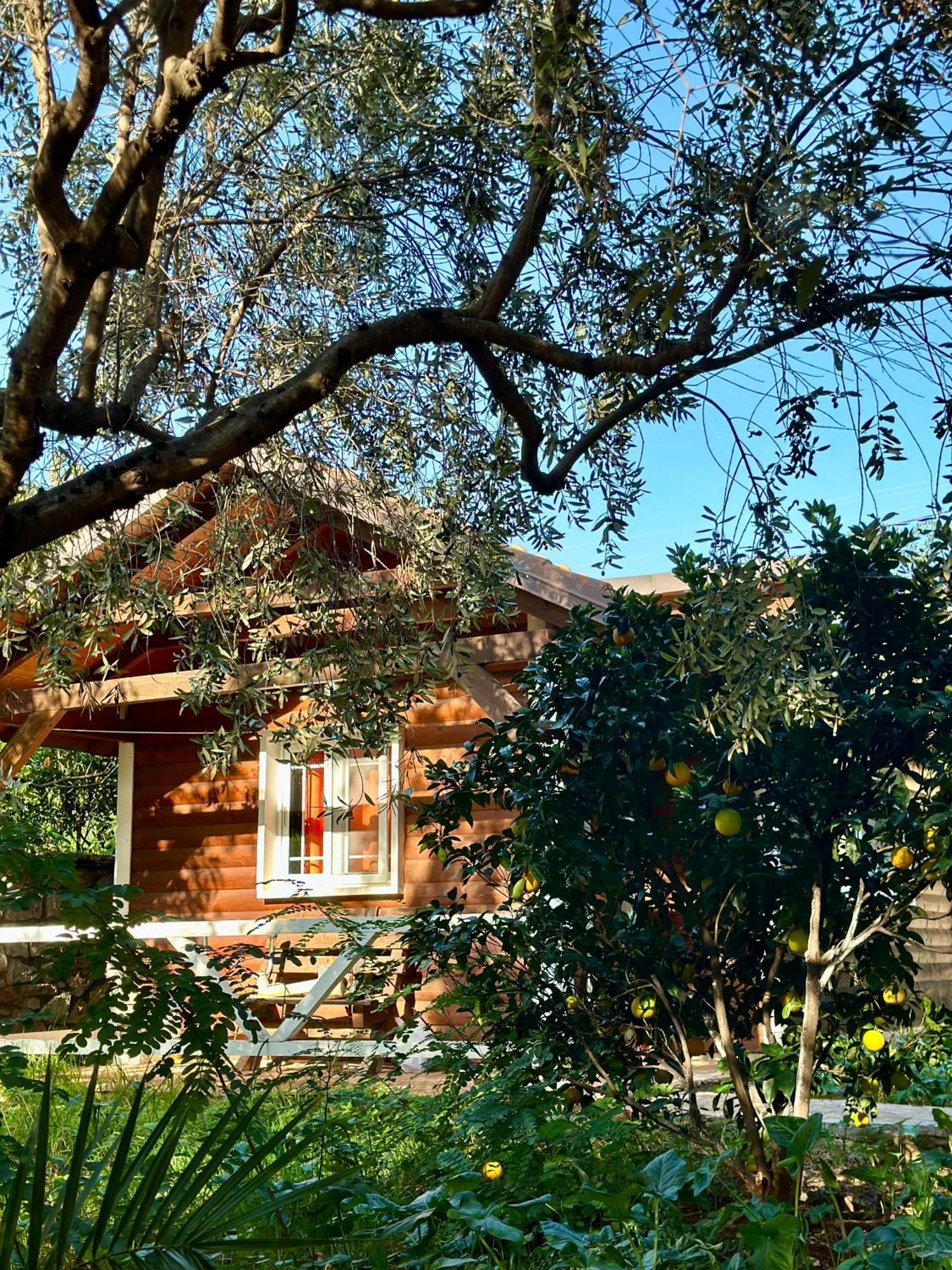 The Mussel House Villa Ксамил Екстериор снимка