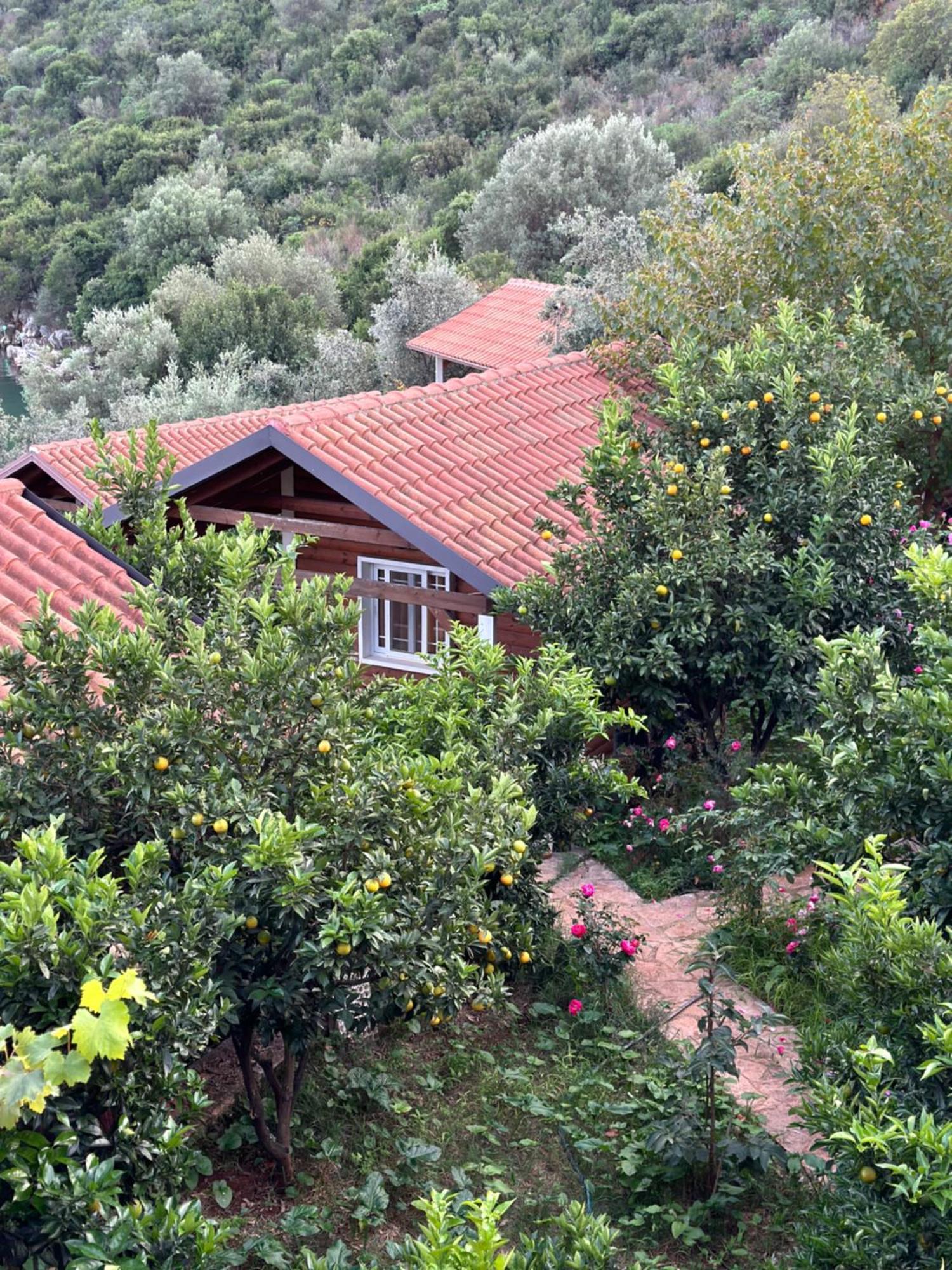 The Mussel House Villa Ксамил Екстериор снимка